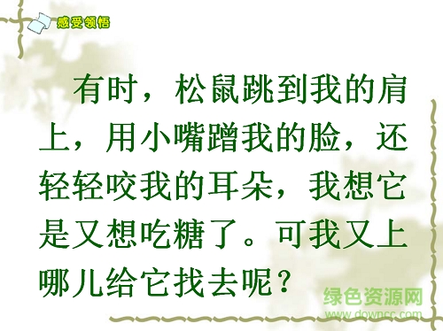 跑進(jìn)家來的松鼠ppt完美版  0