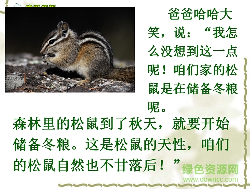 跑進(jìn)家來的松鼠ppt完美版