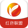 掌上饒陽