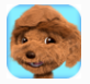 會說話的泰迪狗(Talking Teddy Dog)