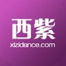 西紫舞蹈
