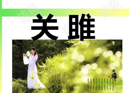 關(guān)雎ppt優(yōu)質(zhì)課件0