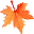 紅楓小說閱讀器軟件