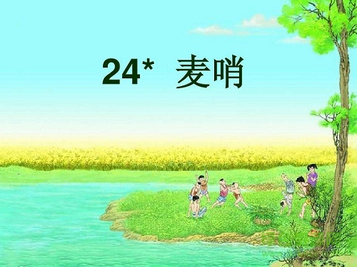 麥哨ppt課件