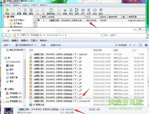維棠flv視頻軟件