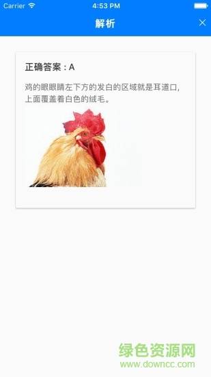 趣味答題app