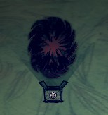 饑荒海難mod大全