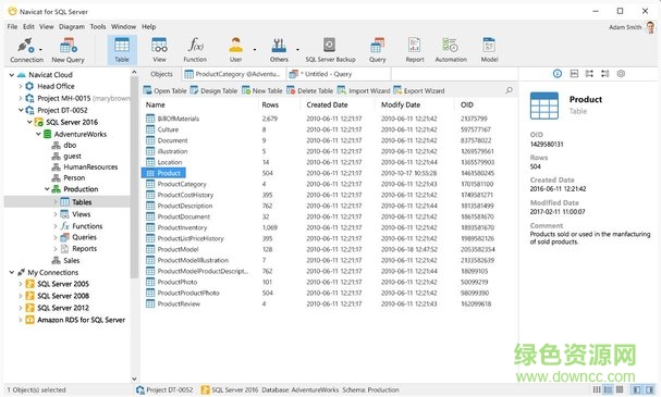 navicat for sql server 綠色版 v12.0 中文版_附注冊碼 0