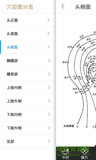 中藥大全軟件1