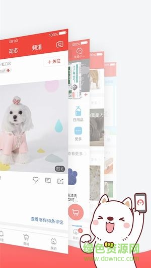 共享寵物app