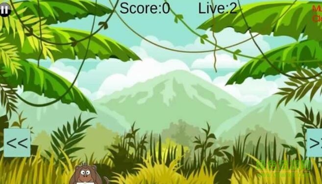 MonKey巴豆夭手游 v1.1 安卓版 0