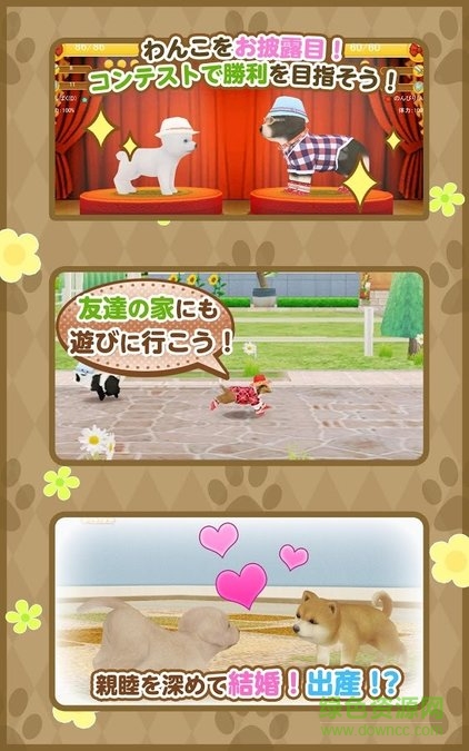 掌上狗狗 v3.9.5 安卓無限鉆石版 1