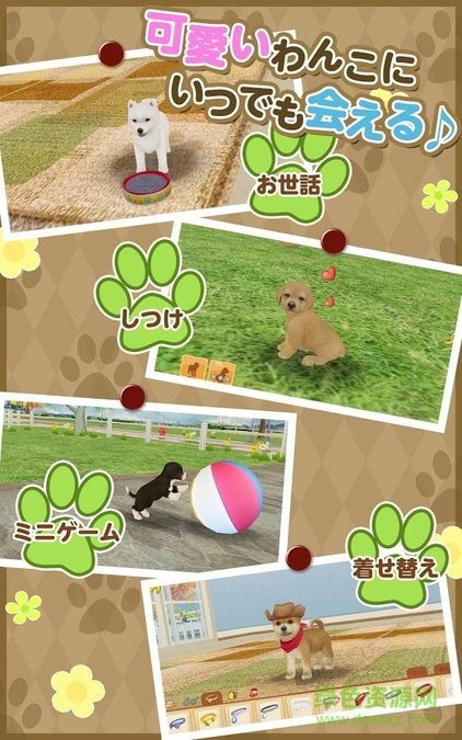 掌上狗狗中文版