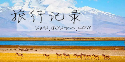 旅游記錄app