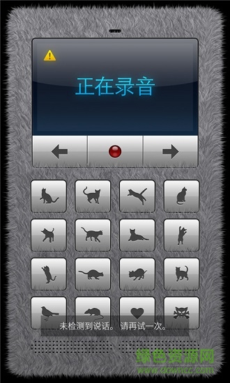 和貓說(shuō)話(huà)app