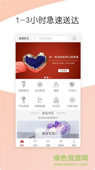 娟蝶鮮花網(wǎng)0