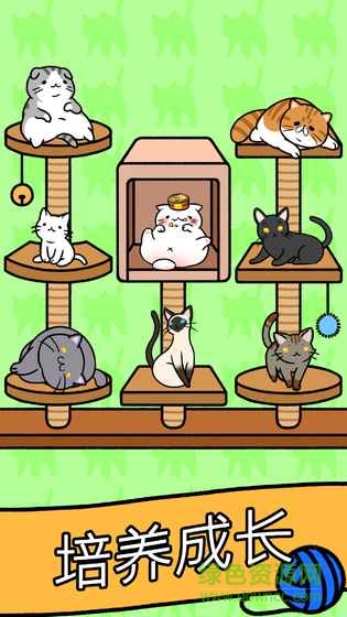 cat condo最新版 v1.0 安卓版 0