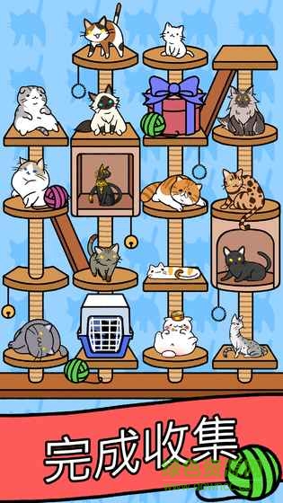 cat condo游戲