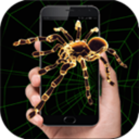 手機(jī)屏幕養(yǎng)蜘蛛軟件Spider Prank