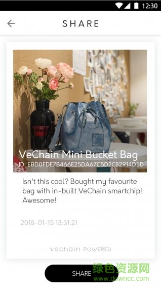 VeChain Pro v2.9.6 安卓版 2