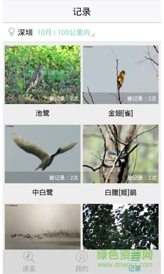 拍照識鳥app(中國野鳥速查) v3.0 安卓版 1