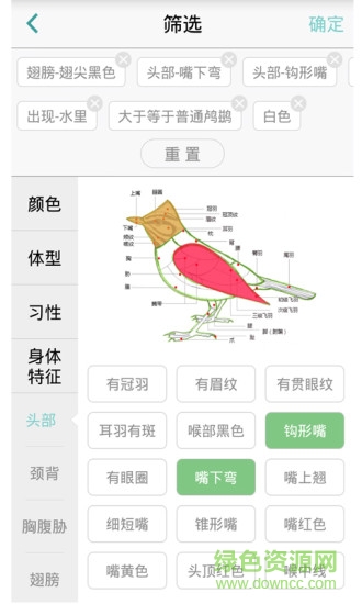 拍照識鳥app(中國野鳥速查) v3.0 安卓版 3