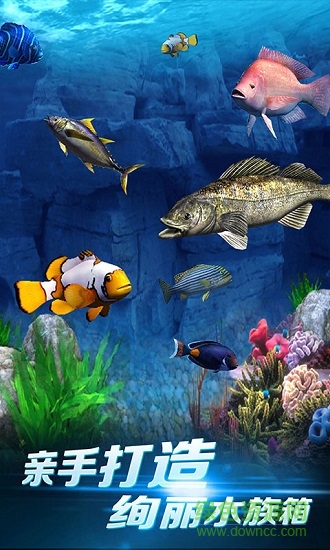 啪啪釣魚