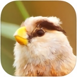 上海野鳥