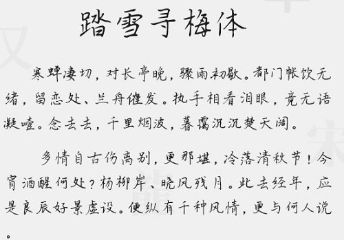 思雨踏雪尋梅體  0