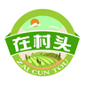 在村頭電商平臺(tái)