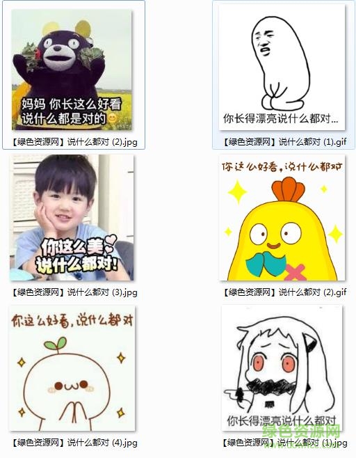 你美說什么都對(duì)表情包