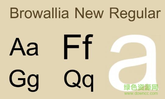 browallia new普通