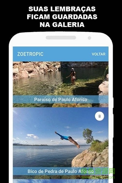 zoetropic專業(yè)