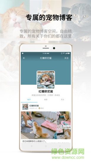 catbook貓書0