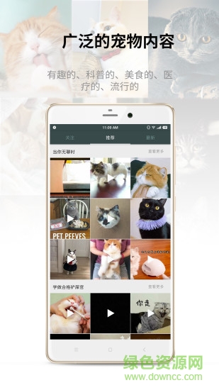 catbook貓書2