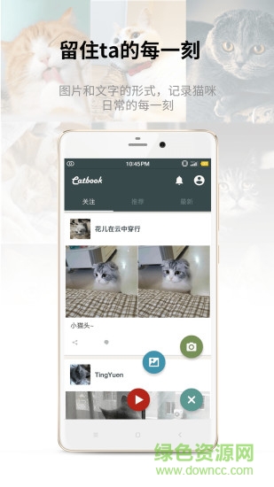catbook貓書3