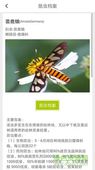 見蟲 v1.2.1 安卓版 2