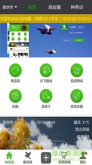58信鴿app下載