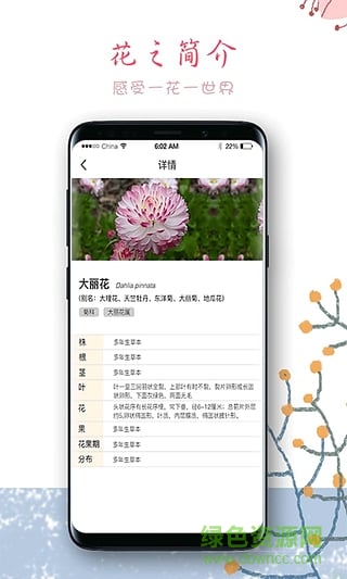 超級袋鼠爸爸 v0.0.11 安卓版 0