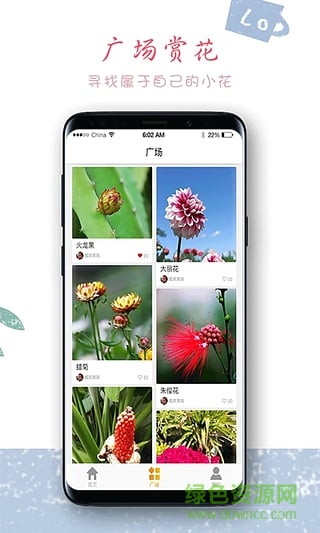 超級袋鼠爸爸 v0.0.11 安卓版 3