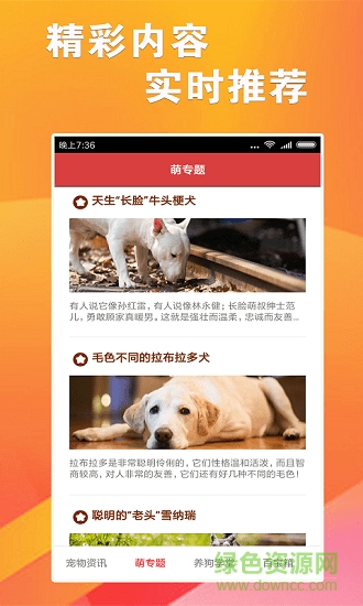跑狗報(bào)手機(jī)版 v1.0.0 安卓版 2