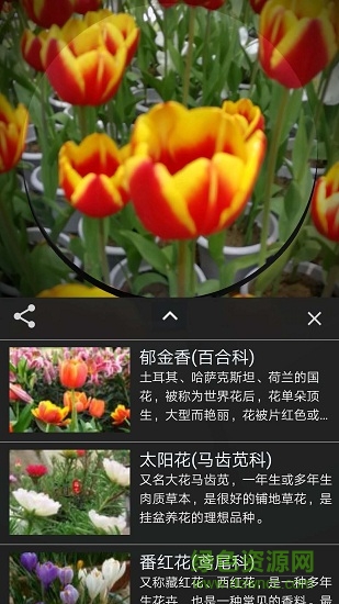 咔嚓識花手機(jī)版