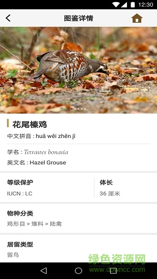 識(shí)鳥(niǎo)家app v1.4 安卓版 3