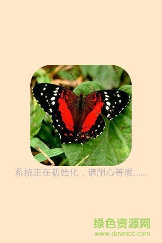 昆蟲識圖app v1.3 安卓版 0
