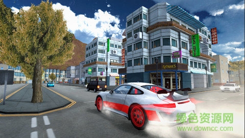 駕駛汽車模擬游戲 v4.2 安卓版 1