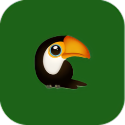 啄木鳥(niǎo)秒表