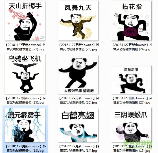 熊貓武功秘籍表情包