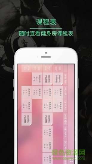 810健身app