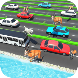 公路上的動(dòng)物