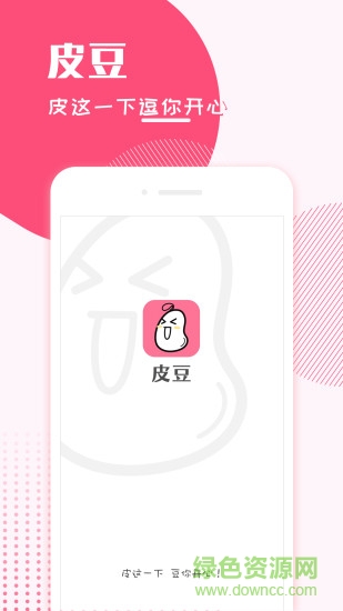 皮豆